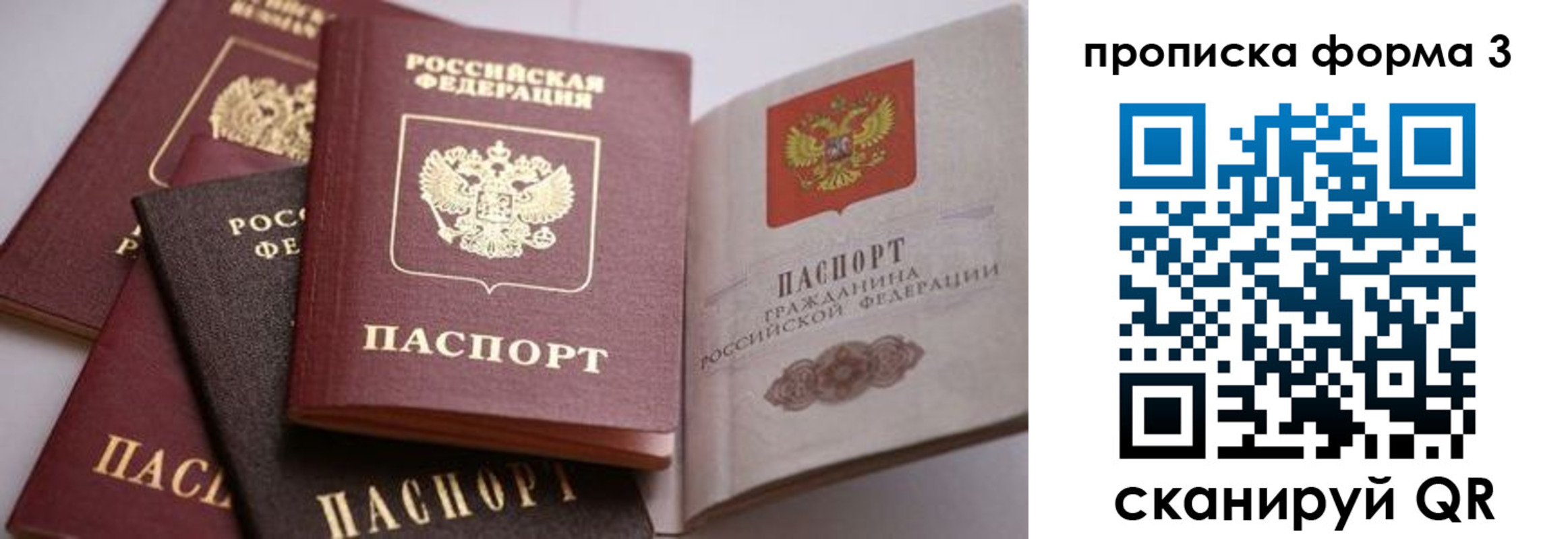 прописка для школы в Боровске